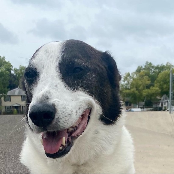 Meet your Posher, Jacqueline - Picture 2 of 12